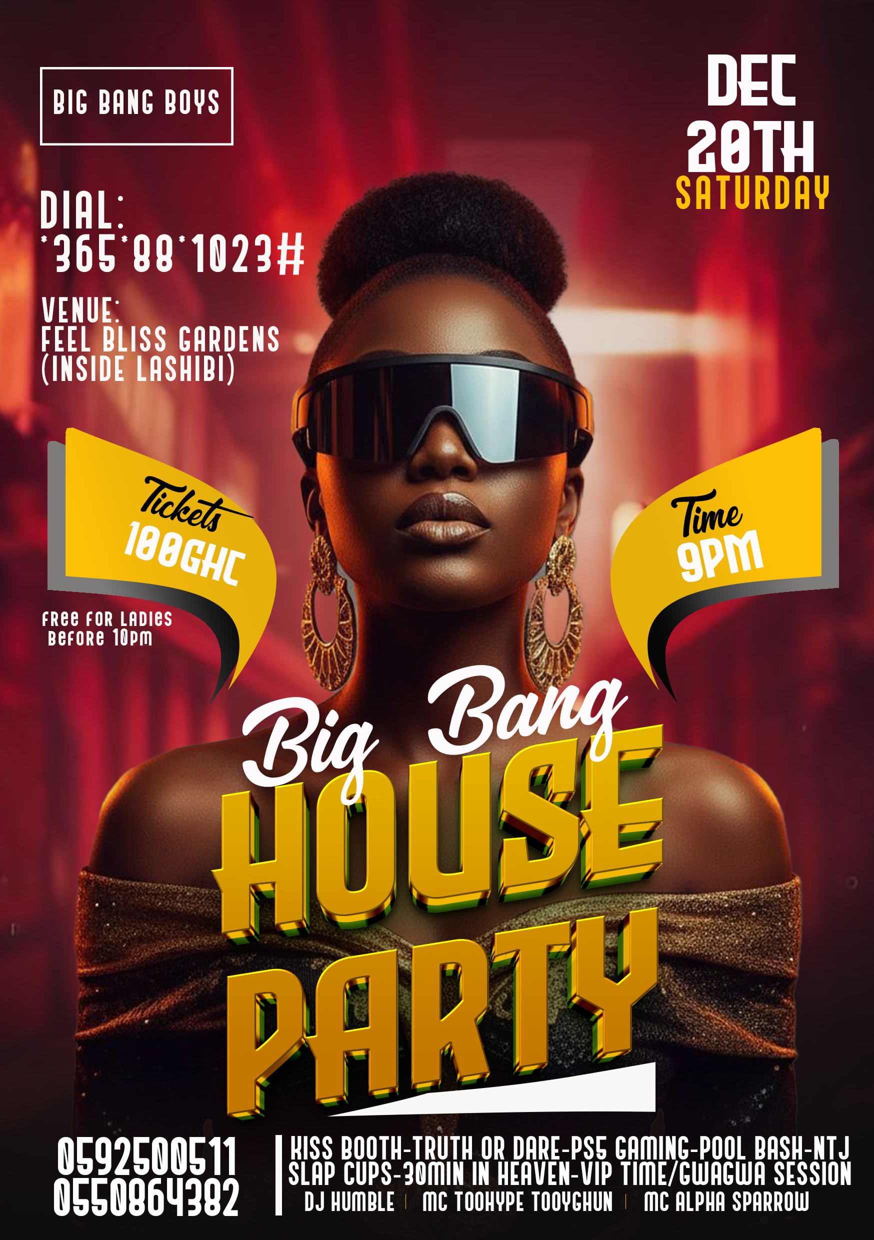 Big Bang House Party