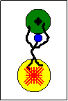 SUPRONOMO ENTERPRISE logo
