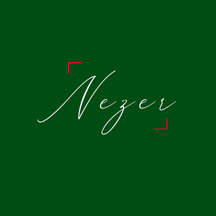 Nezer Studies logo
