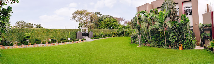 The Savannah